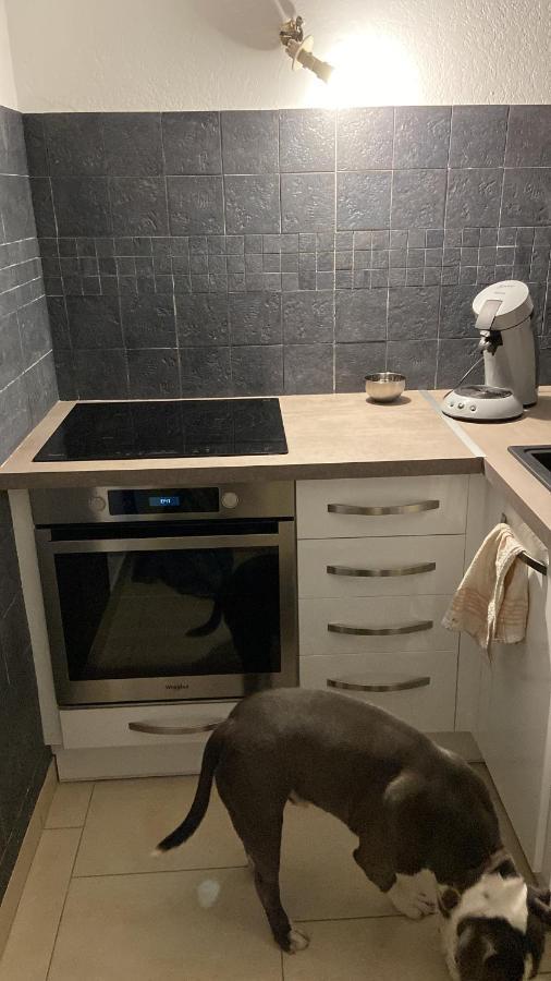 Appartement Cap D Agde Magnifique Vue Mer Εξωτερικό φωτογραφία